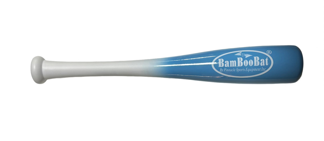 Baseball or Softball 18